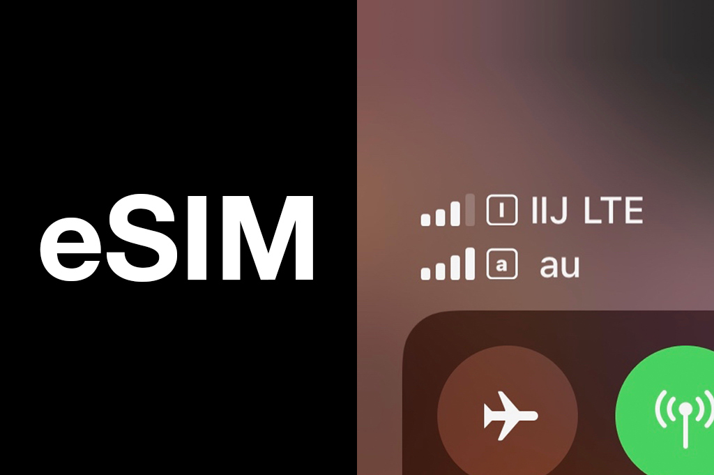 Esim Iijmio